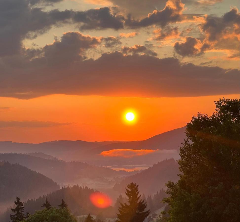Am Berg Leilighet Feldberg  Eksteriør bilde
