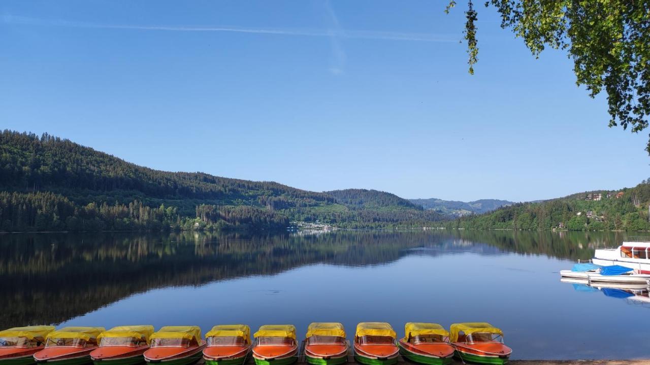 Am Berg Leilighet Feldberg  Eksteriør bilde