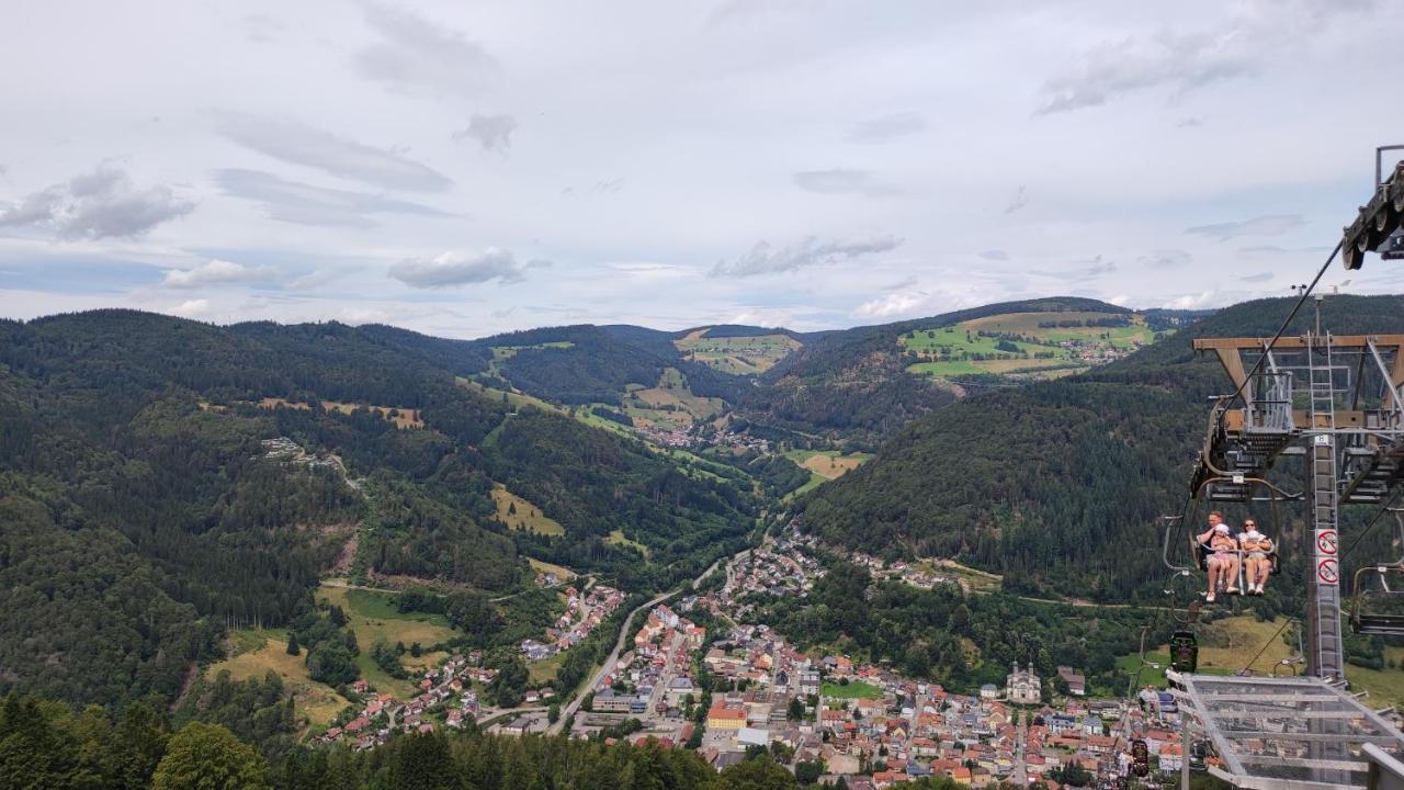 Am Berg Leilighet Feldberg  Eksteriør bilde