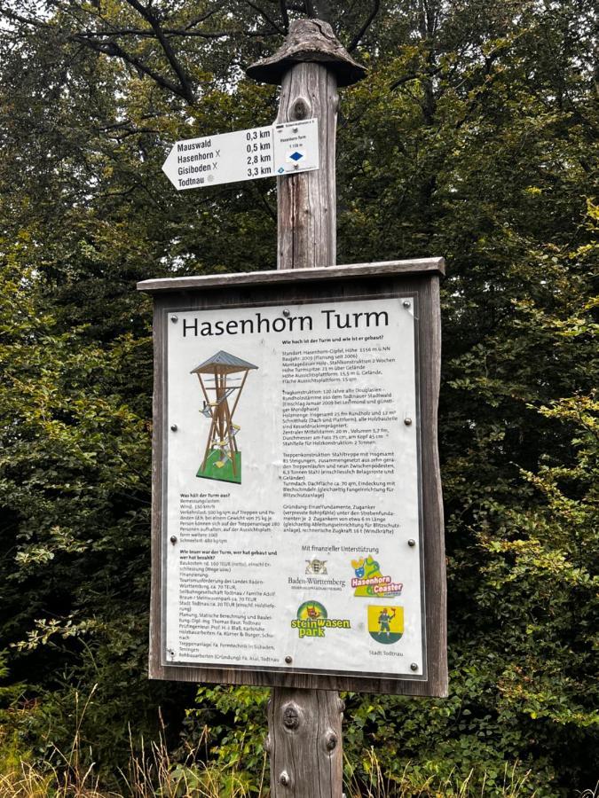 Am Berg Leilighet Feldberg  Eksteriør bilde