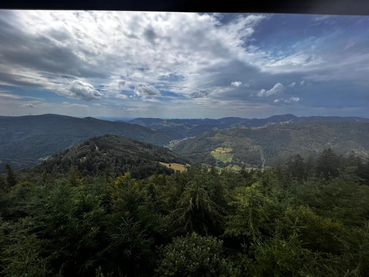 Am Berg Leilighet Feldberg  Eksteriør bilde