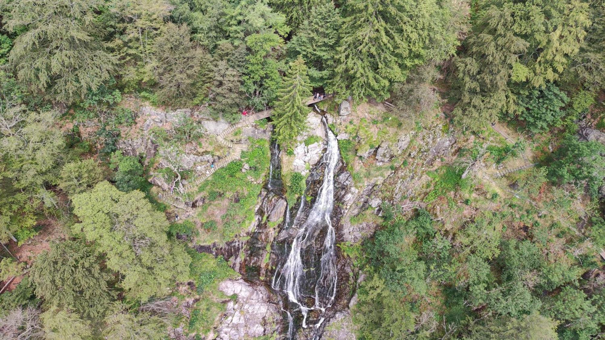 Am Berg Leilighet Feldberg  Eksteriør bilde